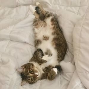 Meet your Posher, Adam